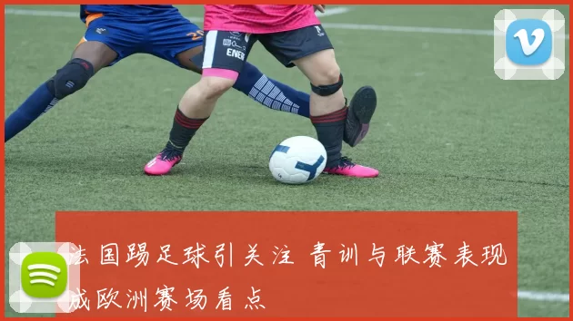 法国踢足球引关注 青训与联赛表现成欧洲赛场看点