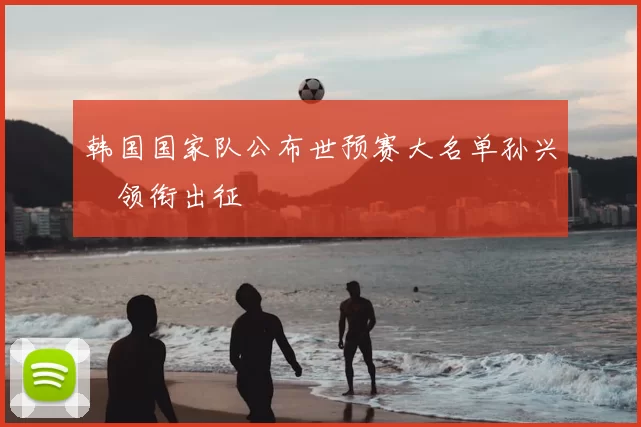 韩国国家队公布世预赛大名单孙兴慜领衔出征