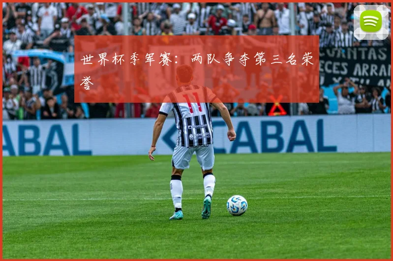 世界杯季军赛：两队争夺第三名荣誉