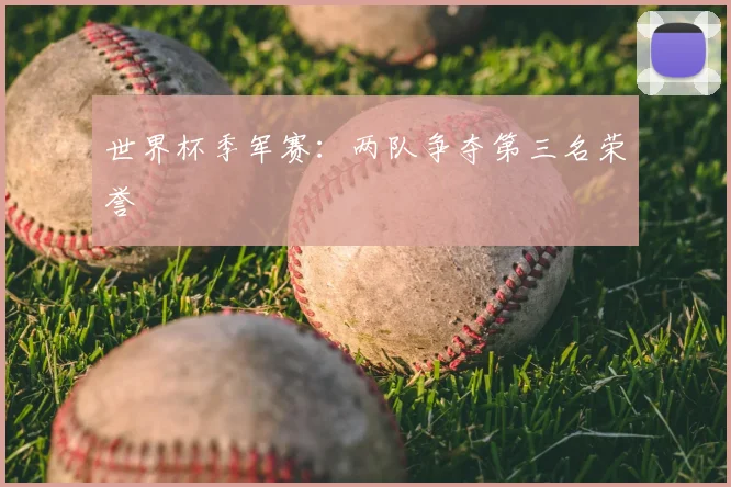 世界杯季军赛：两队争夺第三名荣誉