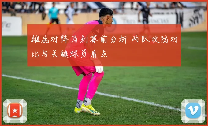 雄鹿对阵马刺赛前分析 两队攻防对比与关键球员看点